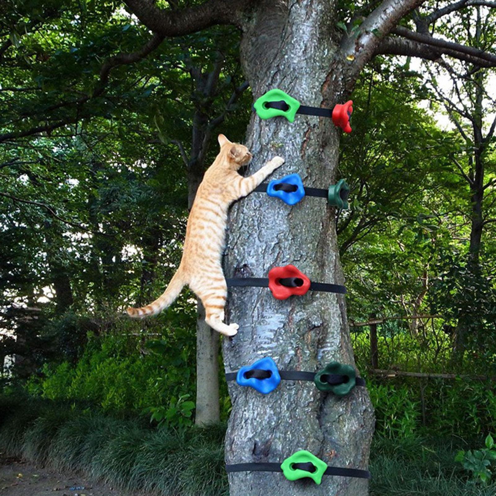 Tree Climbing Equipment Adjust - Outdoor Adventure Store ulasan dan harga